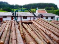 Areál firmy Pila Wolf